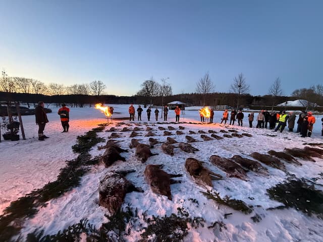 En jagt parade i sneklædte omgivelser