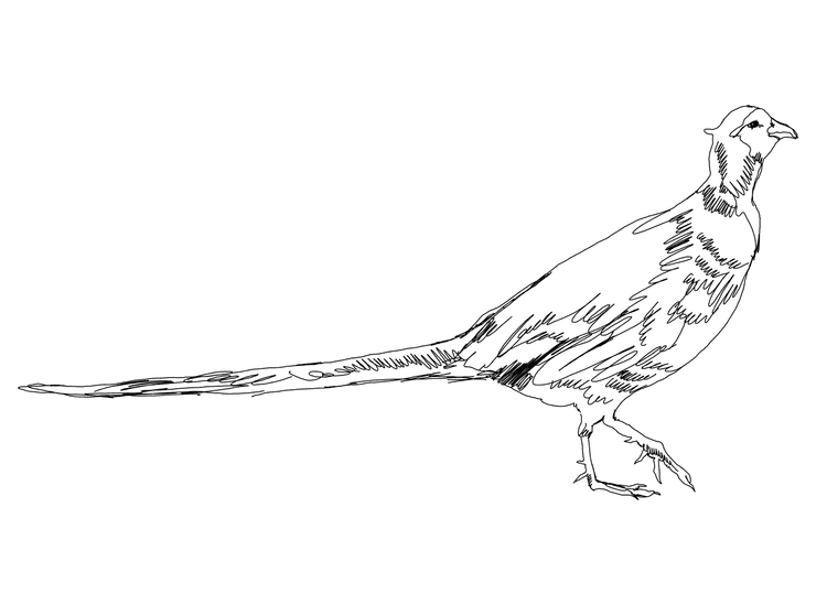 Guns n' Forks hare icon